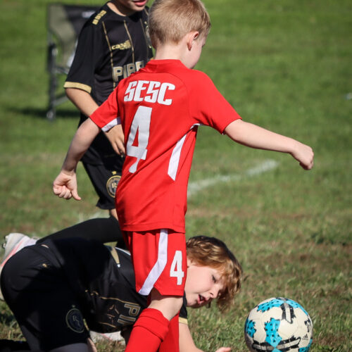 SESC PARKS 11 8 20 November 9th, 2020 44121