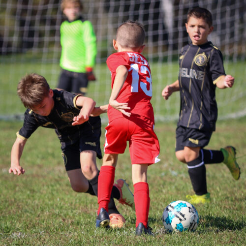 SESC PARKS 11 8 20 November 9th, 2020 44003