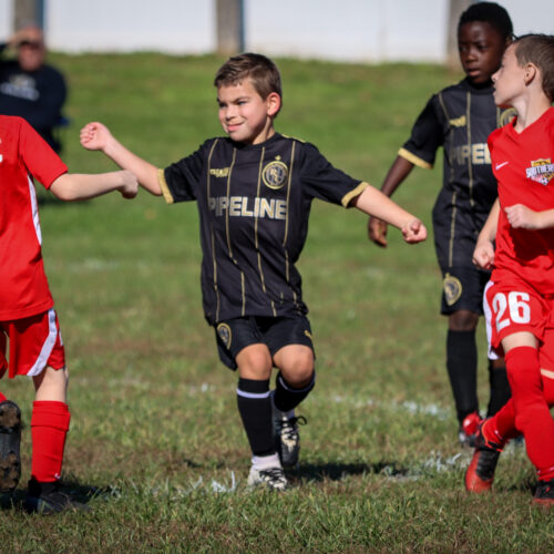 SESC PARKS 11 8 20 November 9th, 2020 43963