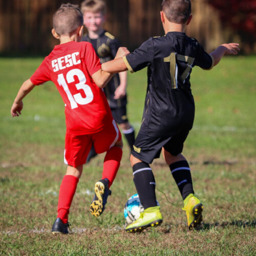 SESC PARKS 11 8 20 November 9th, 2020 43979