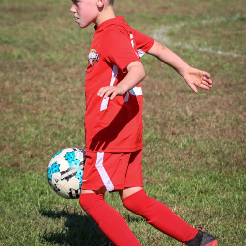 SESC PARKS 11 8 20 November 9th, 2020 44039