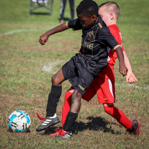 SESC PARKS 11 8 20 November 9th, 2020 44029