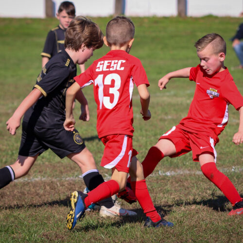 SESC PARKS 11 8 20 November 9th, 2020 44007