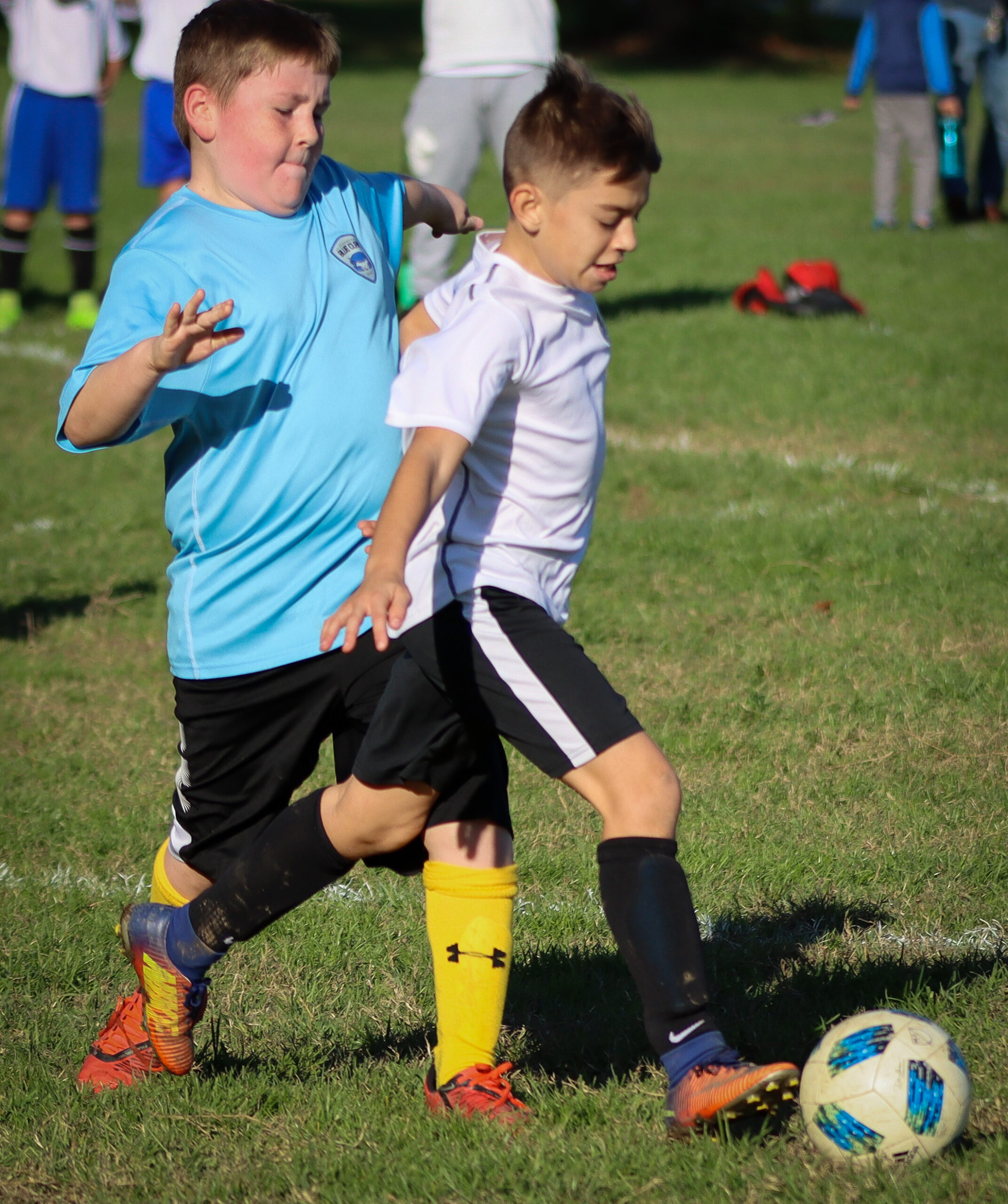 3B44E1D7-856F-4DE4-A246-4AA7DA5FD0E9