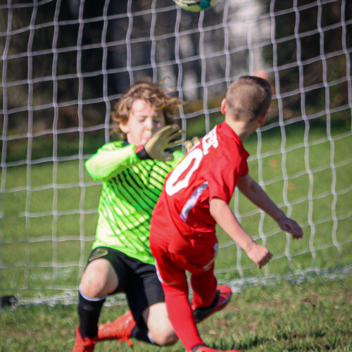 SESC PARKS 11 8 20 November 9th, 2020 44077