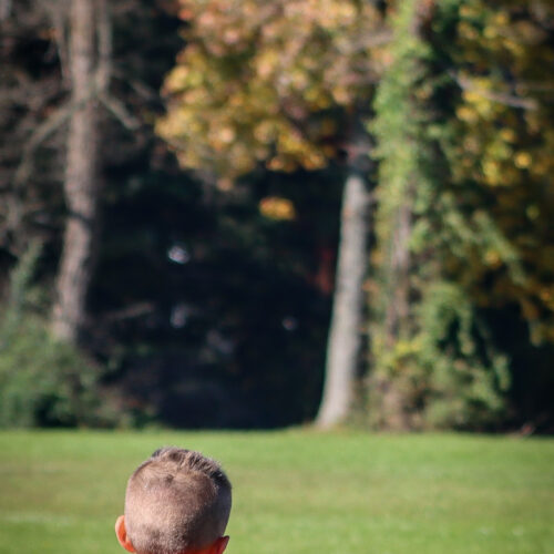 SESC PARKS 11 8 20 November 9th, 2020 43982