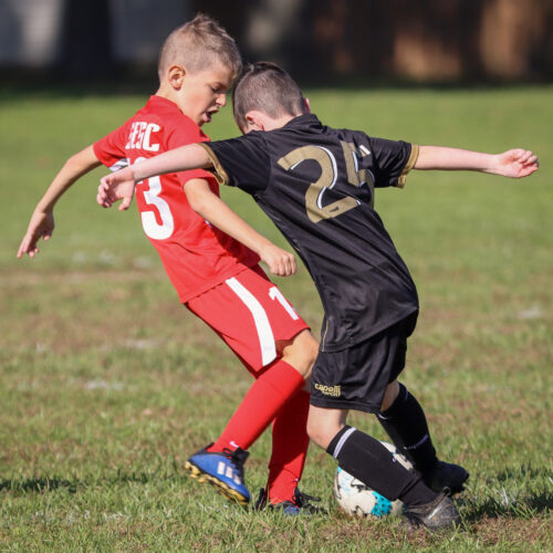 SESC PARKS 11 8 20 November 9th, 2020 44163