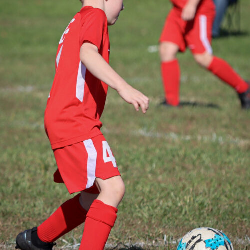 SESC PARKS 11 8 20 November 9th, 2020 44074