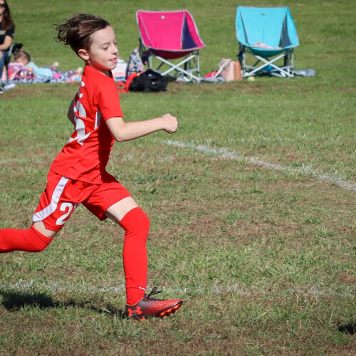 SESC PARKS 11 8 20 November 9th, 2020 43972