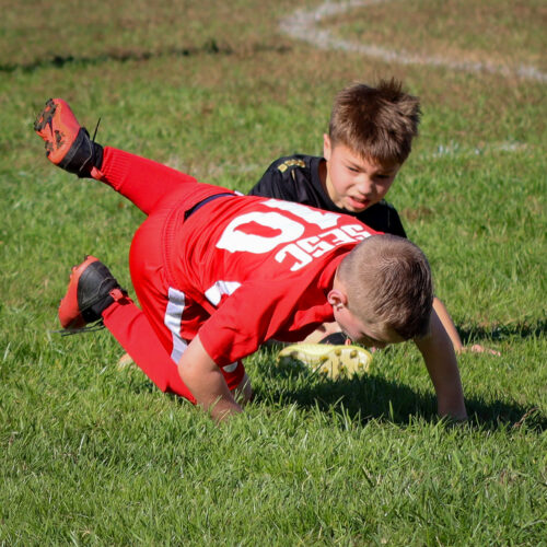 SESC PARKS 11 8 20 November 9th, 2020 44020