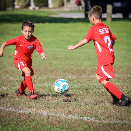 SESC PARKS 11 8 20 November 9th, 2020 44080