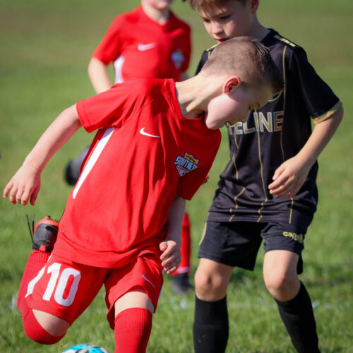 SESC PARKS 11 8 20 November 9th, 2020 44081