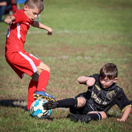 SESC PARKS 11 8 20 November 9th, 2020 44174