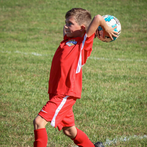 SESC PARKS 11 8 20 November 9th, 2020 44065