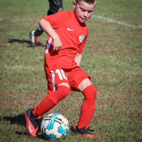 SESC PARKS 11 8 20 November 9th, 2020 44015