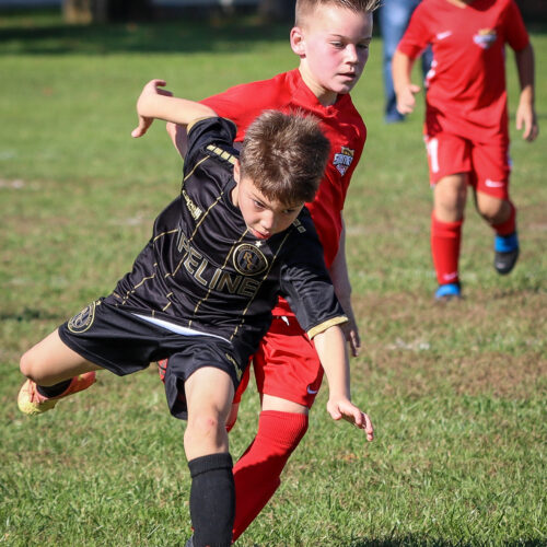 SESC PARKS 11 8 20 November 9th, 2020 44024