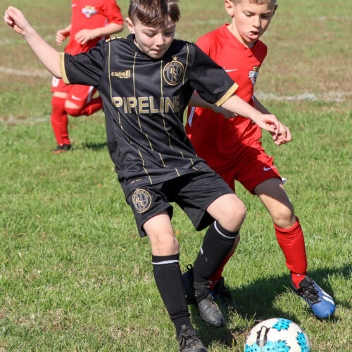 SESC PARKS 11 8 20 November 9th, 2020 44100