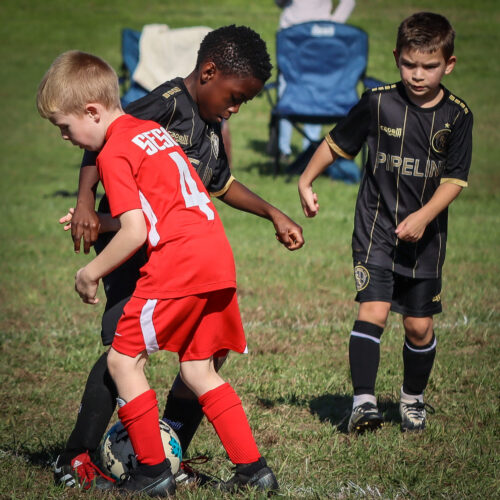 SESC PARKS 11 8 20 November 9th, 2020 43954