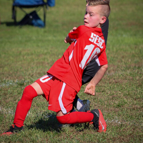 SESC PARKS 11 8 20 November 9th, 2020 44059