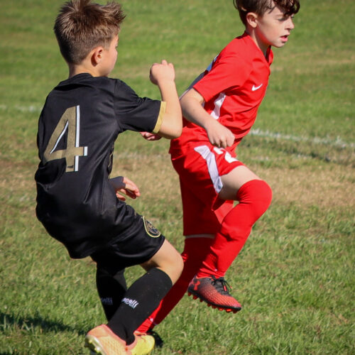 SESC PARKS 11 8 20 November 9th, 2020 44037