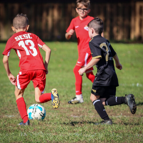 SESC PARKS 11 8 20 November 9th, 2020 44095