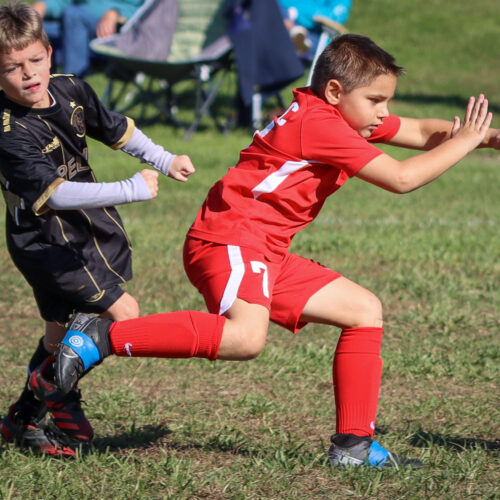 SESC PARKS 11 8 20 November 9th, 2020 44103