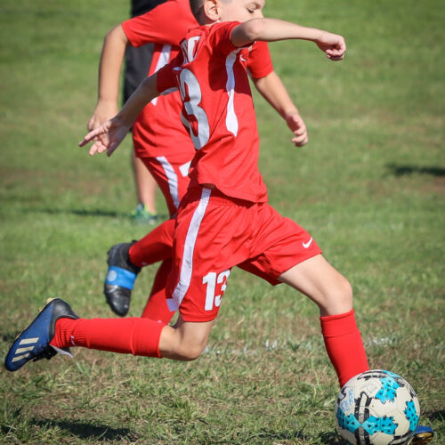 SESC PARKS 11 8 20 November 9th, 2020 44151