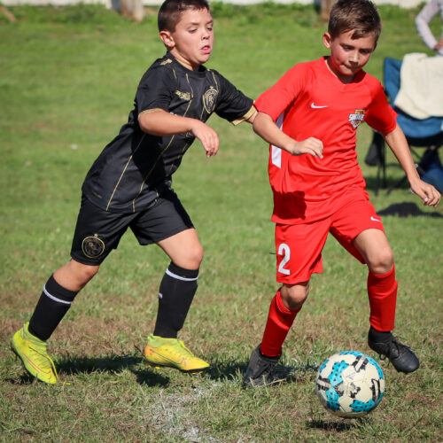 SESC PARKS 11 8 20 November 9th, 2020 43995