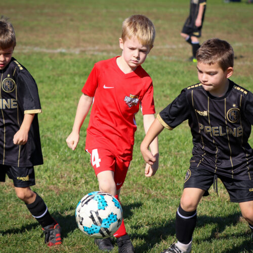 SESC PARKS 11 8 20 November 9th, 2020 43966