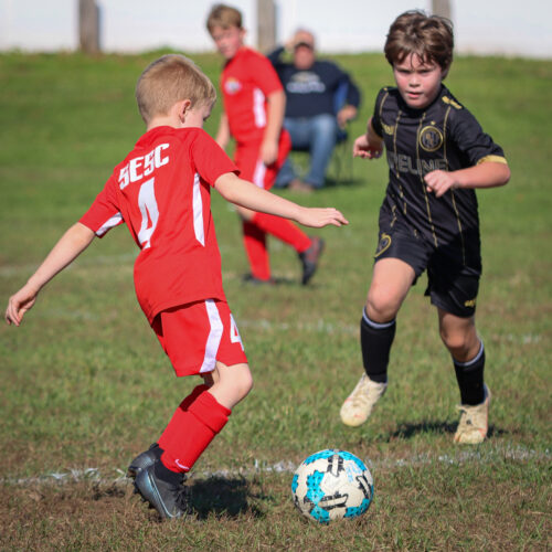 SESC PARKS 11 8 20 November 9th, 2020 44071