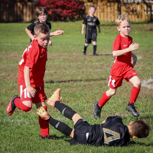 SESC PARKS 11 8 20 November 9th, 2020 44021