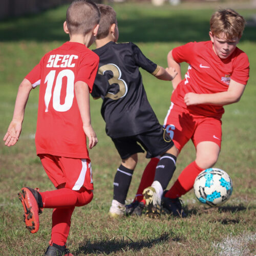 SESC PARKS 11 8 20 November 9th, 2020 44161