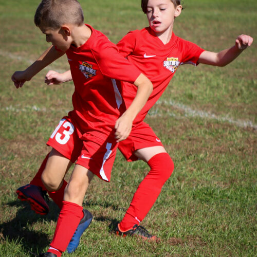 SESC PARKS 11 8 20 November 9th, 2020 43996