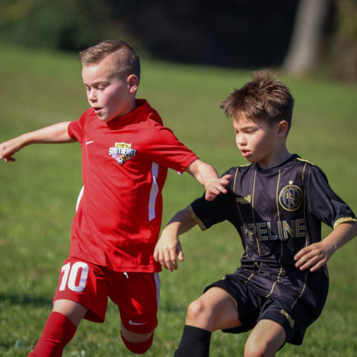 SESC PARKS 11 8 20 November 9th, 2020 44084