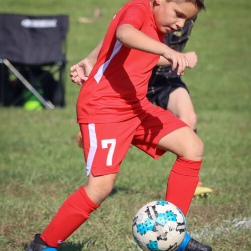 SESC PARKS 11 8 20 November 9th, 2020 44153