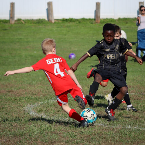 SESC PARKS 11 8 20 November 9th, 2020 43959