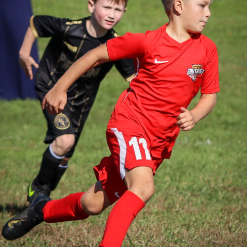 SESC PARKS 11 8 20 November 9th, 2020 44087