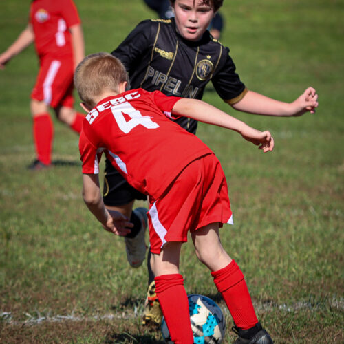 SESC PARKS 11 8 20 November 9th, 2020 44070