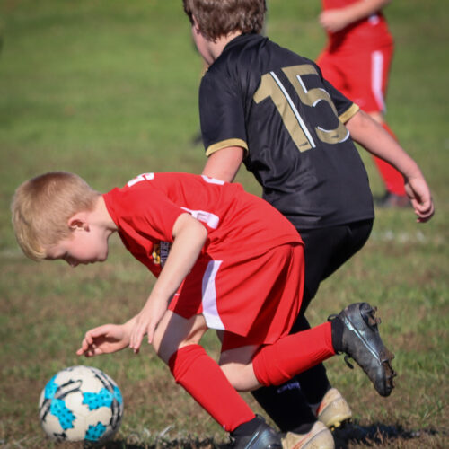 SESC PARKS 11 8 20 November 9th, 2020 44067