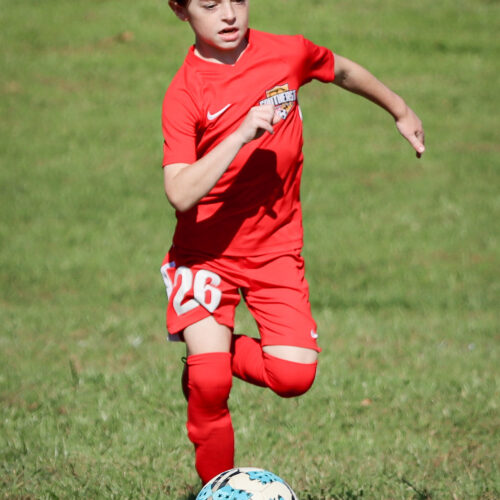 SESC PARKS 11 8 20 November 9th, 2020 43958