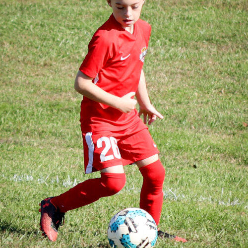 SESC PARKS 11 8 20 November 9th, 2020 43969