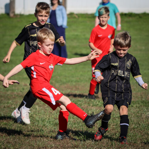 SESC PARKS 11 8 20 November 9th, 2020 44117