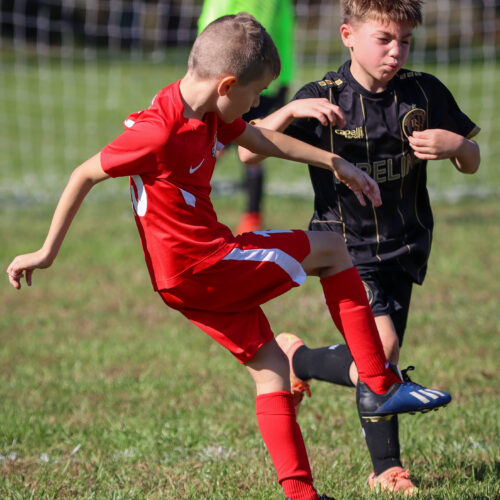 SESC PARKS 11 8 20 November 9th, 2020 43999