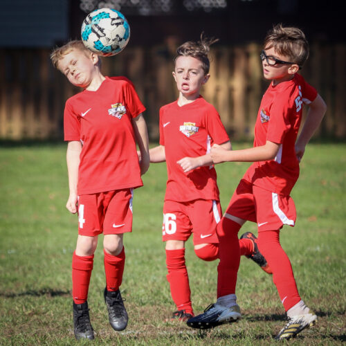 SESC PARKS 11 8 20 November 9th, 2020 44138