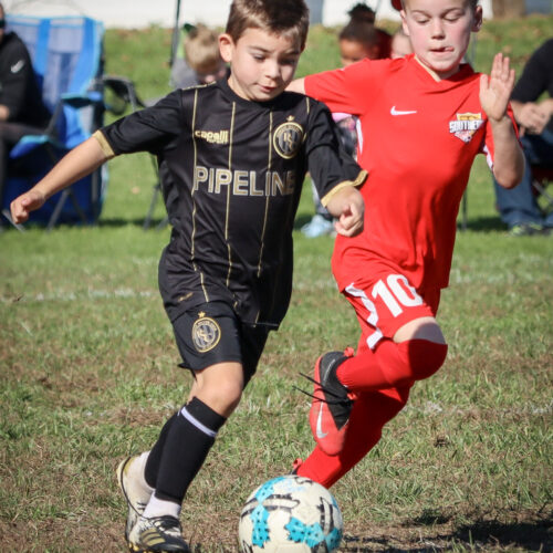 SESC PARKS 11 8 20 November 9th, 2020 43974