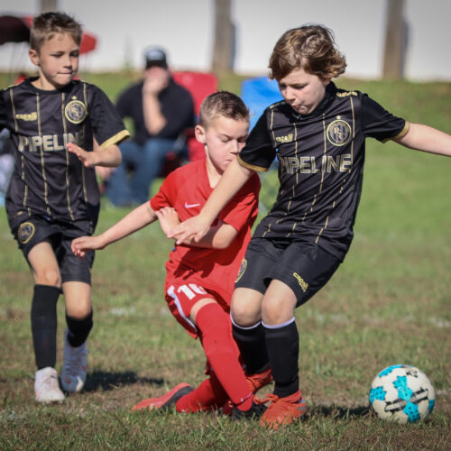 SESC PARKS 11 8 20 November 9th, 2020 44124