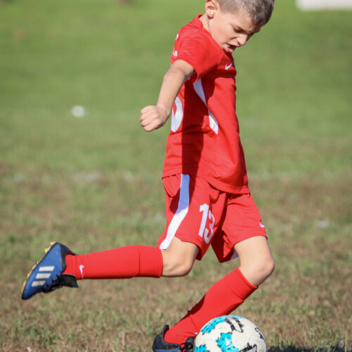 SESC PARKS 11 8 20 November 9th, 2020 44154