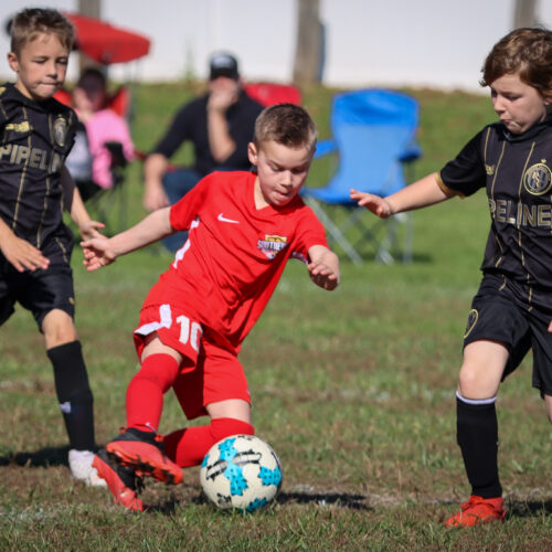 SESC PARKS 11 8 20 November 9th, 2020 44128