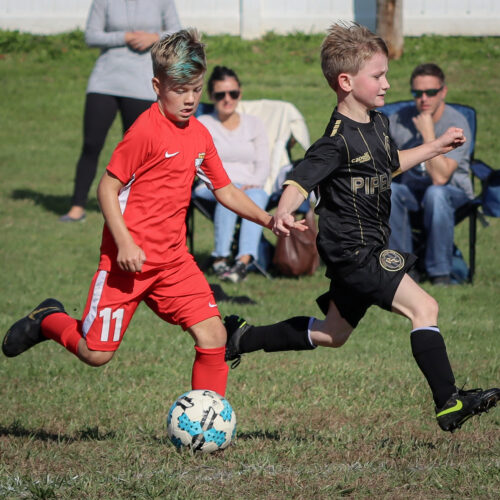 SESC PARKS 11 8 20 November 9th, 2020 44090