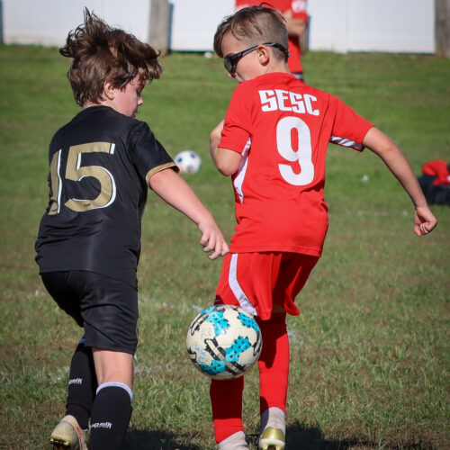 SESC PARKS 11 8 20 November 9th, 2020 43988